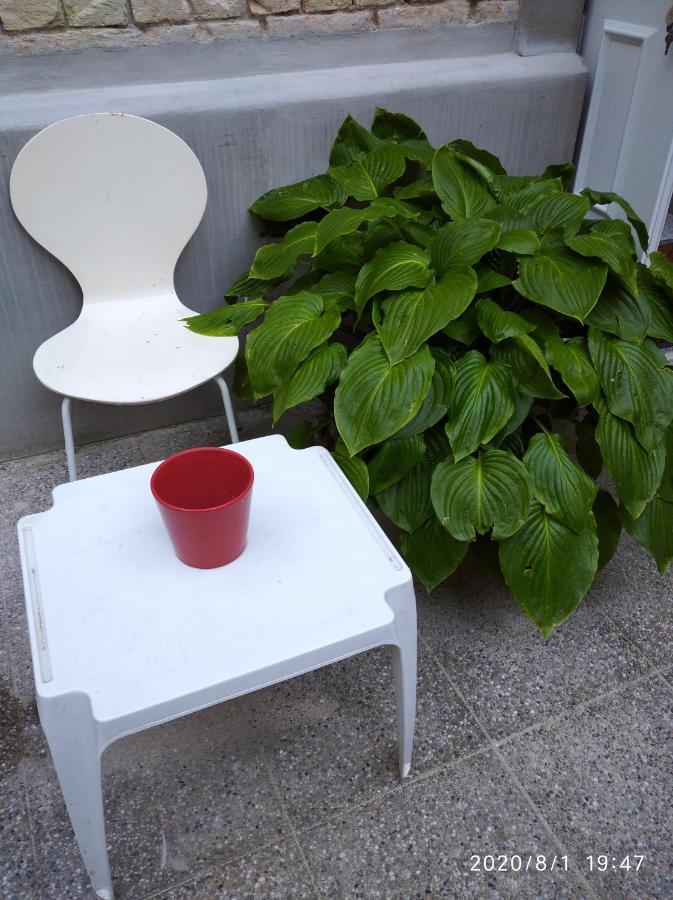 Hotel Botanical Garden Zagrzeb Zewnętrze zdjęcie
