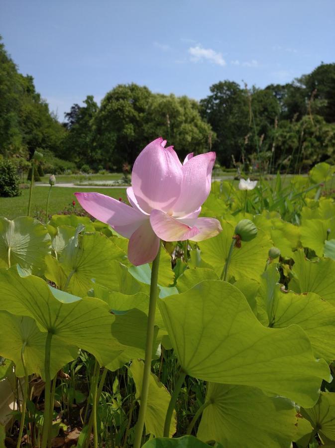 Hotel Botanical Garden Zagrzeb Zewnętrze zdjęcie