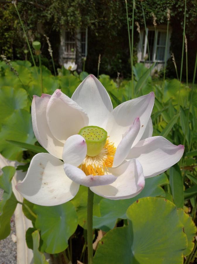 Hotel Botanical Garden Zagrzeb Zewnętrze zdjęcie